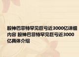股神巴菲特罕見(jiàn)巨虧近3000億詳細(xì)內(nèi)容 股神巴菲特罕見(jiàn)巨虧近3000億具體介紹