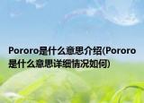 Pororo是什么意思介紹(Pororo是什么意思詳細(xì)情況如何)