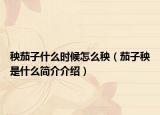 秧茄子什么時(shí)候怎么秧（茄子秧是什么簡(jiǎn)介介紹）