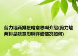 剪力墻兩排是啥意思啊介紹(剪力墻兩排是啥意思啊詳細(xì)情況如何)