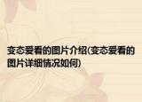 變態(tài)愛(ài)看的圖片介紹(變態(tài)愛(ài)看的圖片詳細(xì)情況如何)