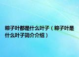 粽子葉都是什么葉子（粽子葉是什么葉子簡(jiǎn)介介紹）