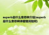 superb是什么意思啊介紹(superb是什么意思啊詳細(xì)情況如何)