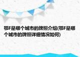 鄂F是哪個(gè)城市的牌照介紹(鄂F是哪個(gè)城市的牌照詳細(xì)情況如何)