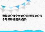 曹操簡(jiǎn)介幾個(gè)老婆介紹(曹操簡(jiǎn)介幾個(gè)老婆詳細(xì)情況如何)