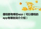 借錢都有哪些app（可以借錢的app有哪些簡(jiǎn)介介紹）