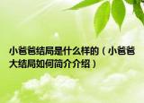 小爸爸結(jié)局是什么樣的（小爸爸大結(jié)局如何簡介介紹）