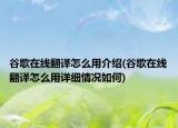 谷歌在線翻譯怎么用介紹(谷歌在線翻譯怎么用詳細(xì)情況如何)