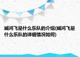 臧鴻飛是什么樂隊(duì)的介紹(臧鴻飛是什么樂隊(duì)的詳細(xì)情況如何)
