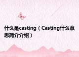 什么是casting（Casting什么意思簡介介紹）