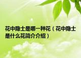 花中隱士是哪一種花（花中隱士是什么花簡(jiǎn)介介紹）