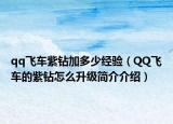 qq飛車紫鉆加多少經(jīng)驗（QQ飛車的紫鉆怎么升級簡介介紹）