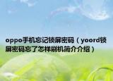 oppo手機(jī)忘記鎖屏密碼（yoord鎖屏密碼忘了怎樣刷機(jī)簡(jiǎn)介介紹）