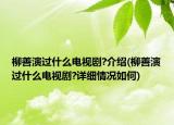 柳善演過什么電視劇?介紹(柳善演過什么電視劇?詳細(xì)情況如何)