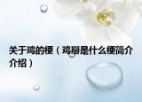 關于雞的梗（雞掰是什么梗簡介介紹）
