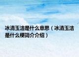 冰清玉潔是什么意思（冰清玉潔是什么梗簡介介紹）