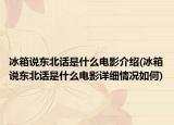 冰箱說東北話是什么電影介紹(冰箱說東北話是什么電影詳細情況如何)