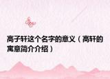 高子軒這個名字的意義（高軒的寓意簡介介紹）
