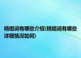 精組詞有哪些介紹(精組詞有哪些詳細(xì)情況如何)