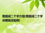萄組詞二個字介紹(萄組詞二個字詳細情況如何)
