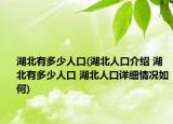 湖北有多少人口(湖北人口介紹 湖北有多少人口 湖北人口詳細情況如何)