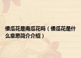 倭瓜花是南瓜花嗎（倭瓜花是什么意思簡(jiǎn)介介紹）