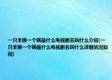 一只羊換一個鍋是什么電視劇名叫什么介紹(一只羊換一個鍋是什么電視劇名叫什么詳細情況如何)