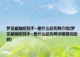 夢見被貓咬到手~是什么征兆啊介紹(夢見被貓咬到手~是什么征兆啊詳細(xì)情況如何)