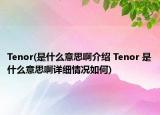 Tenor(是什么意思啊介紹 Tenor 是什么意思啊詳細(xì)情況如何)