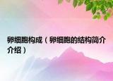 卵細(xì)胞構(gòu)成（卵細(xì)胞的結(jié)構(gòu)簡介介紹）