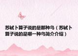 蘇軾卜算子說的是那種鳥（蘇軾卜算子說的是哪一種鳥簡介介紹）