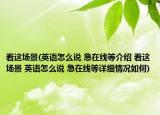看這場景(英語怎么說 急在線等介紹 看這場景 英語怎么說 急在線等詳細情況如何)