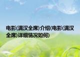 電影(滿漢全席)介紹(電影(滿漢全席)詳細(xì)情況如何)