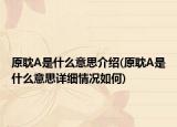 原耽A是什么意思介紹(原耽A是什么意思詳細(xì)情況如何)