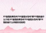 XY是指的男性嗎?XX是指女性嗎?那YX指的是什么介紹(XY是指的男性嗎?XX是指女性嗎?那YX指的是什么詳細情況如何)