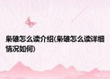 梟雄怎么讀介紹(梟雄怎么讀詳細(xì)情況如何)