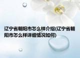 遼寧省朝陽市怎么樣介紹(遼寧省朝陽市怎么樣詳細(xì)情況如何)