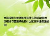 文玩核桃與普通核桃有什么區(qū)別介紹(文玩核桃與普通核桃有什么區(qū)別詳細(xì)情況如何)