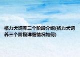格力犬飼養(yǎng)三個階段介紹(格力犬飼養(yǎng)三個階段詳細(xì)情況如何)