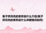 猴子撈月亮的意思是什么介紹(猴子撈月亮的意思是什么詳細(xì)情況如何)