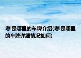 粵l是哪里的車牌介紹(粵l是哪里的車牌詳細情況如何)