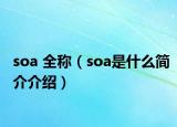 soa 全稱（soa是什么簡介介紹）