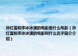 孫紅雷和李冰冰演的電影是什么電影（孫紅雷和李冰冰演的電影叫什么名字簡介介紹）