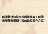 戚薇版杜拉拉電視劇演員表（戚薇在哪部電視劇中演的拉拉簡介介紹）