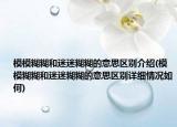 模模糊糊和迷迷糊糊的意思區(qū)別介紹(模模糊糊和迷迷糊糊的意思區(qū)別詳細情況如何)