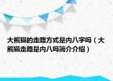 大熊貓的走路方式是內(nèi)八字嗎（大熊貓走路是內(nèi)八嗎簡介介紹）