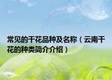 常見(jiàn)的干花品種及名稱（云南干花的種類簡(jiǎn)介介紹）