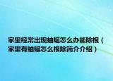 家里經常出現(xiàn)蚰蜒怎么辦能除根（家里有蚰蜒怎么根除簡介介紹）