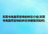 茉莉書齋霹靂震悚的拼音介紹(茉莉書齋霹靂震悚的拼音詳細(xì)情況如何)