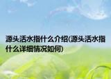 源頭活水指什么介紹(源頭活水指什么詳細(xì)情況如何)